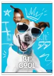 BE COOL vihik A4, 52 lk, 80 g/m&sup2;, ruuduline