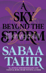 A Sky Beyond the Storm
