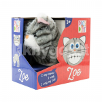 PUGS AT PLAY K&otilde;ndiv kass Zoe