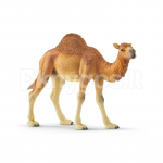 SCHLEICH WILD LIFE Vienkupris kupranugaris