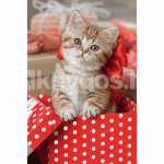 TREFL Mini 54 pusle Armsad loomad