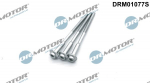 Kruvi, sissepritsed&uuml;&uuml;si kinnitus Dr.Motor Automotive DRM01077S