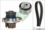 Veepump + hammasrihmakomplekt INA 530 0462 30