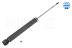 Amort MEYLE 126 725 0024
