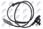 Andur, rattap&ouml;&ouml;rete arv NTY HCA-CT-032