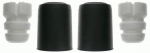 Tolmukaitse komplekt,Amordid SACHS 900 224