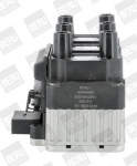 S&uuml;&uuml;tepool BorgWarner (BERU) ZSE013