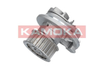 Veepump, mootori jahutus KAMOKA T0069
