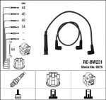 S&uuml;&uuml;tes&uuml;steemikomplekt NGK RC-BW231