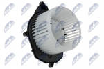 Salongipuhur NTY EWN-CT-002