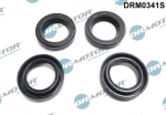 Tihend,d&uuml;&uuml;sikinnitus Dr.Motor Automotive DRM0341S