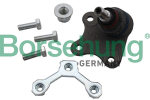 Kande-/juhtliigend Borsehung B18696