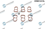 Remondikomplekt, imitoru moodul Dr.Motor Automotive DRM01241SL