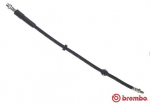 Pidurivoolik BREMBO T 06 053