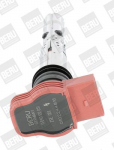 S&uuml;&uuml;tepool BorgWarner (BERU) ZSE051