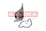 Veepump, mootori jahutus KAMOKA T0047