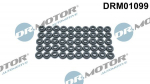 Tihend,klapikaanekruvid Dr.Motor Automotive DRM01099