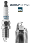 S&uuml;&uuml;tek&uuml;&uuml;nal BorgWarner (BERU) Z346