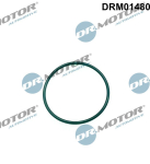 Tihend,sissepritsepump Dr.Motor Automotive DRM01480