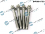 Kruvi, sissepritsed&uuml;&uuml;si kinnitus Dr.Motor Automotive DRM0677S