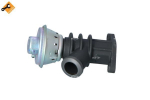 EGR-klapp NRF 48387