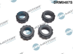 R&otilde;ngastihend,sissepritseklapp Dr.Motor Automotive DRM0487S