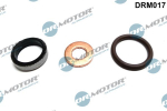 Tihendikomplekt, Sissepritsed&uuml;&uuml;s Dr.Motor Automotive DRM017