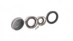 Rattalaagrikomplekt SKF VKBA 6530