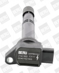 S&uuml;&uuml;tepool BorgWarner (BERU) ZSE169
