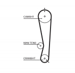 Hammasrihm GATES 5591XS