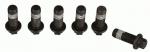 Kruvikomplekt,hooratas SACHS 1874 000 067