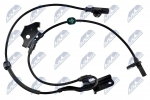 Andur, rattap&ouml;&ouml;rete arv NTY HCA-TY-078