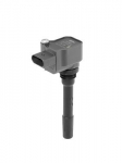 S&uuml;&uuml;tepool BorgWarner (BERU) ZSE225