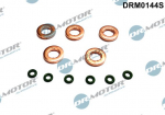 Tihendikomplekt, Sissepritsed&uuml;&uuml;s Dr.Motor Automotive DRM0144S