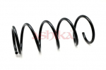 vedru ASHIKA ZCA1063A
