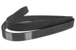 Soonrihm DENCKERMANN 5PK1815