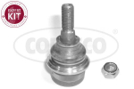 Kande-/juhtliigend CORTECO 49399265