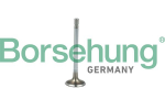 Sisselaskeventiil Borsehung B19021