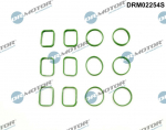 Tihendikomplekt,Sisselaskekollektor DR. MOTOR DRM02254S