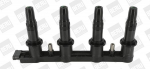 S&uuml;&uuml;tepool BorgWarner (BERU) ZSE198
