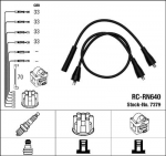 S&uuml;&uuml;tes&uuml;steemikomplekt NGK RC-RN640