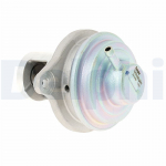EGR-klapp DELPHI EG10656-12B1