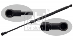 Gaasivedru, pagasi-/veoruum FEBI BILSTEIN 36212