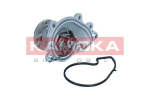 Veepump, mootori jahutus KAMOKA T0312