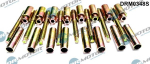 Kruvi, sissepritsed&uuml;&uuml;si kinnitus Dr.Motor Automotive DRM0348S
