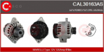 Generaator CASCO CAL30163AS