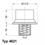 Termostaat,Jahutusvedelik BorgWarner (Wahler) 4621.80D
