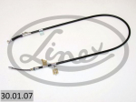 Tross,seisupidur LINEX 30.01.07