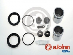 Remondikomplekt,Pidurisadul AUTOFREN SEINSA D42114C