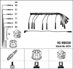 S&uuml;&uuml;tes&uuml;steemikomplekt NGK RC-BW230